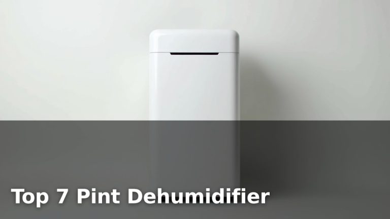 Top 7 Pint Dehumidifier