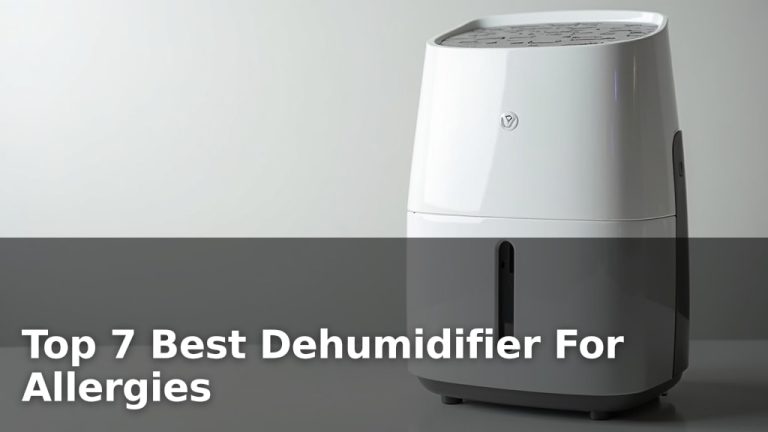 Top 7 Best Dehumidifier For Allergies