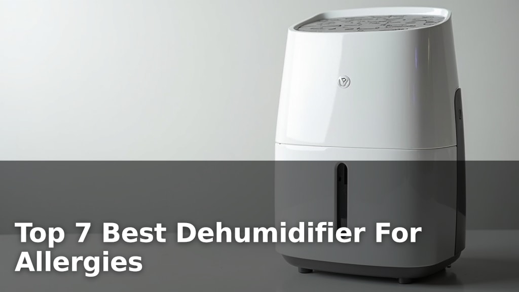 Top 7 Best Dehumidifier For Allergies