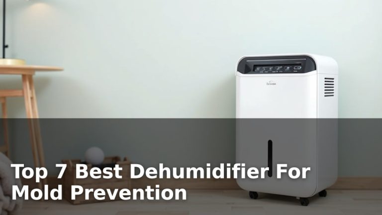 Top 7 Best Dehumidifier For Mold Prevention