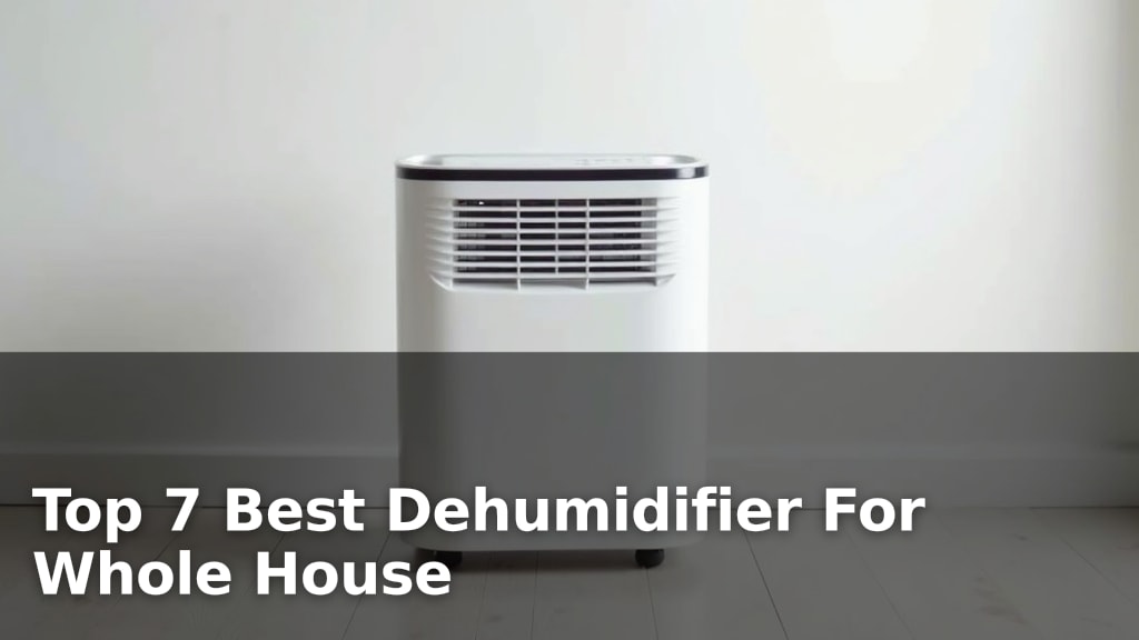 Top 7 Best Dehumidifier For Whole House