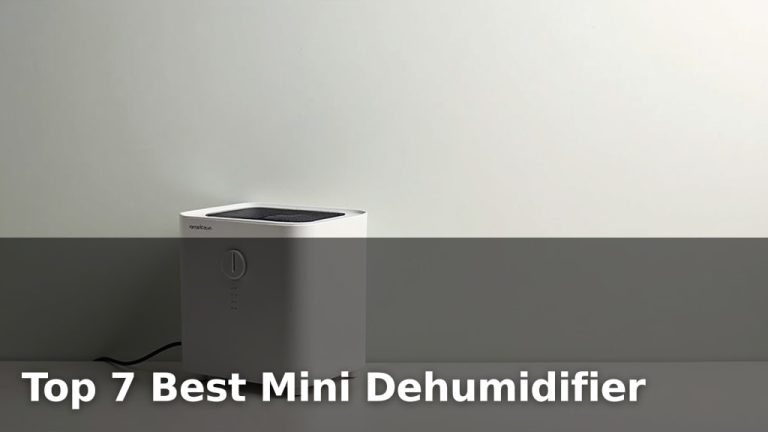 Top 7 Best Mini Dehumidifier