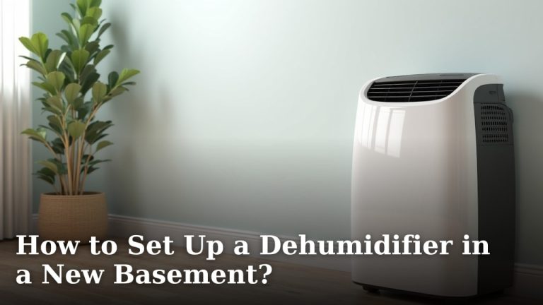 How to Set Up a Dehumidifier in a New Basement?