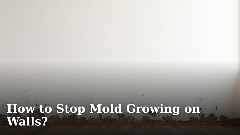 How to Stop Mold Growing on Walls?