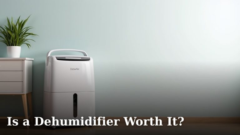 Is a Dehumidifier Worth It?