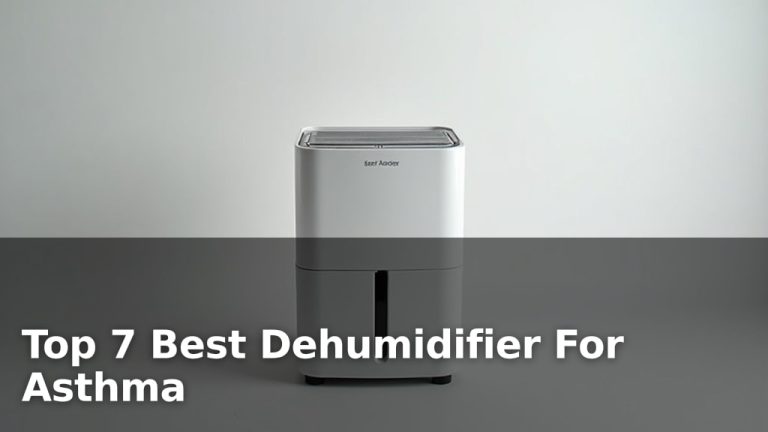 Top 7 Best Dehumidifier For Asthma