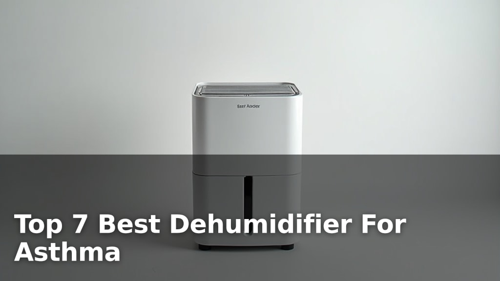 Top 7 Best Dehumidifier For Asthma