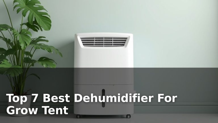 Top 7 Best Dehumidifier For Grow Tent