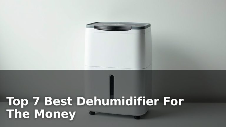 Top 7 Best Dehumidifier For The Money