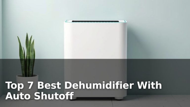 Top 7 Best Dehumidifier With Auto Shutoff