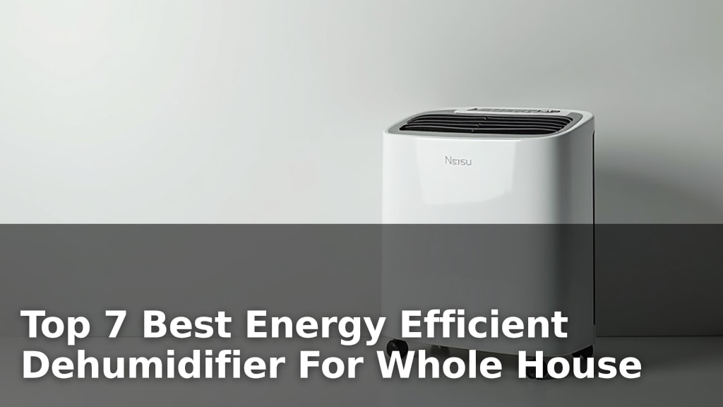 Top 7 Best Energy Efficient Dehumidifier For Whole House