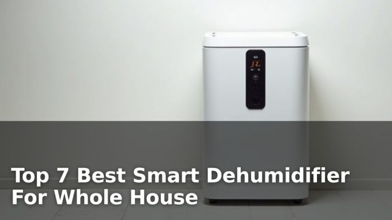 Top 7 Best Smart Dehumidifier For Whole House