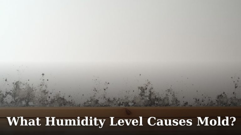 What Humidity Level Causes Mold?