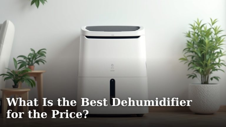 What Is the Best Dehumidifier for the Price?