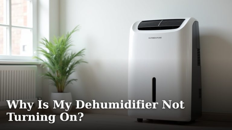Why Is My Dehumidifier Not Turning On?