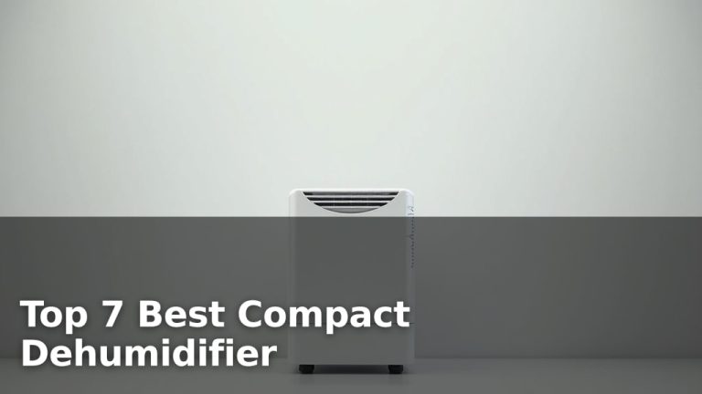 Top 7 Best Compact Dehumidifier