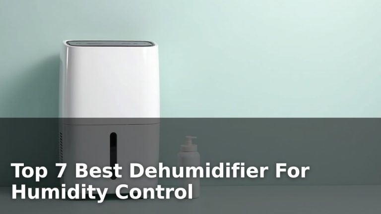 Top 7 Best Dehumidifier For Humidity Control