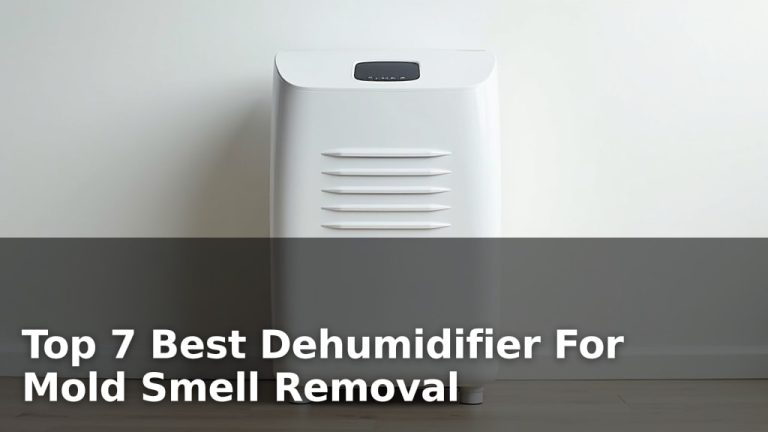 Top 7 Best Dehumidifier For Mold Smell Removal