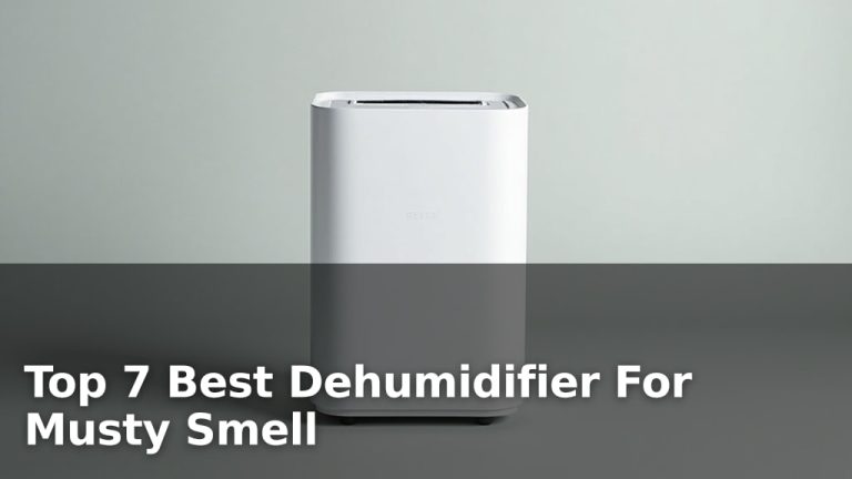 Top 7 Best Dehumidifier For Musty Smell