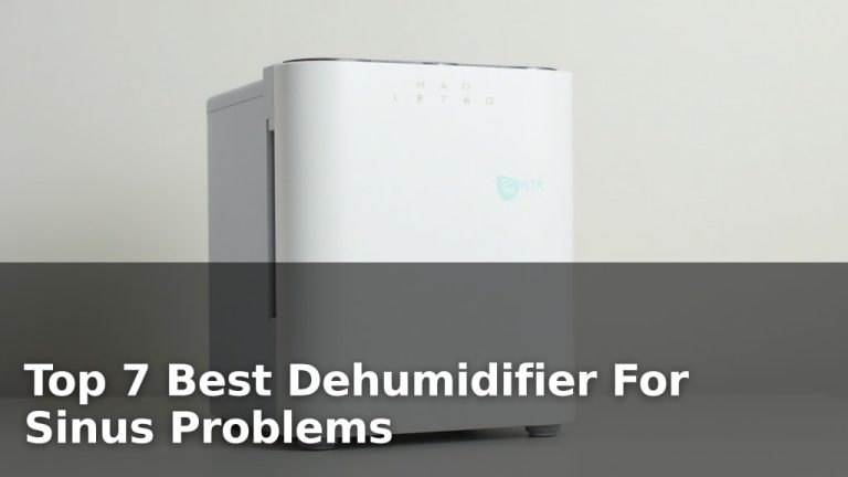 Top 7 Best Dehumidifier For Sinus Problems