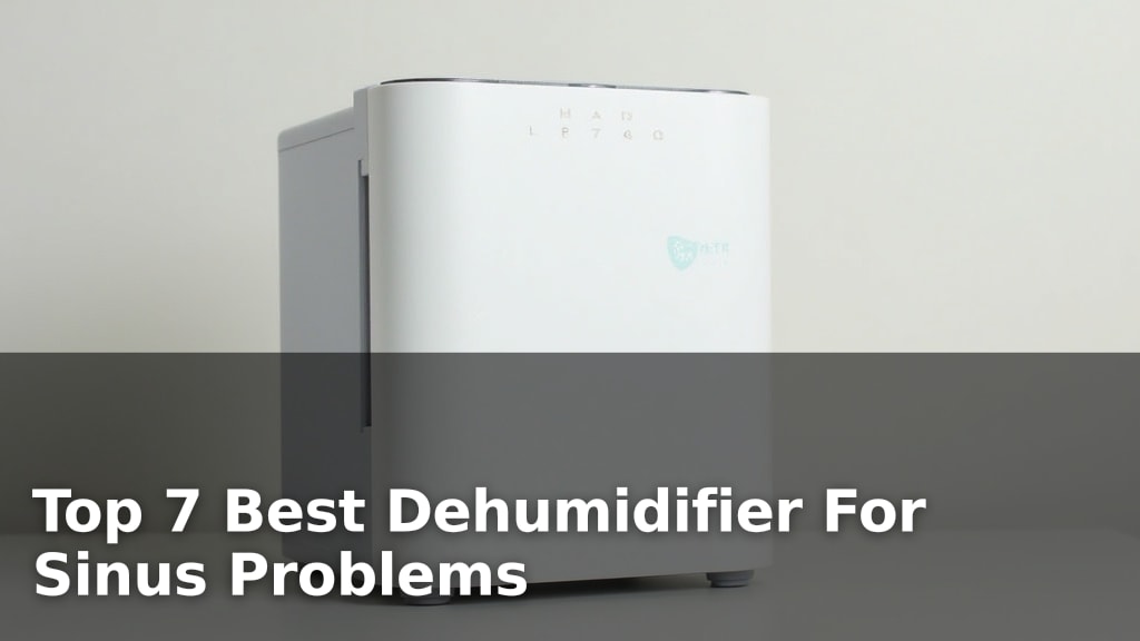 Top 7 Best Dehumidifier For Sinus Problems