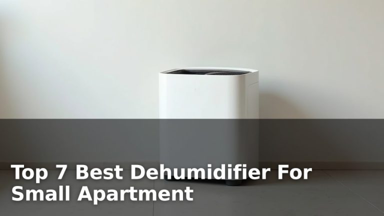 Top 7 Best Dehumidifier For Small Apartment