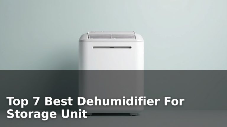 Top 7 Best Dehumidifier For Storage Unit