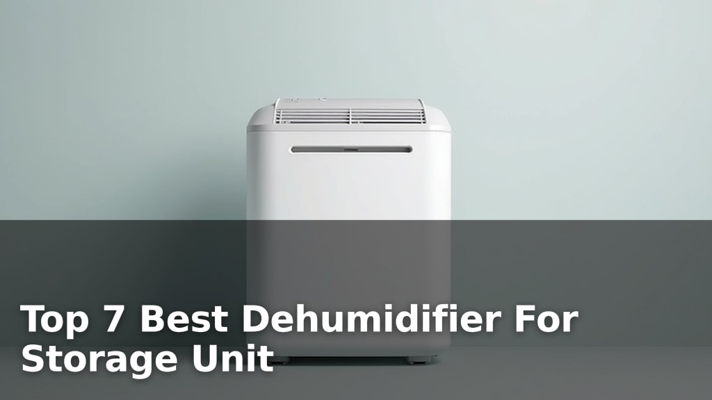 Top 7 Best Dehumidifier For Storage Unit