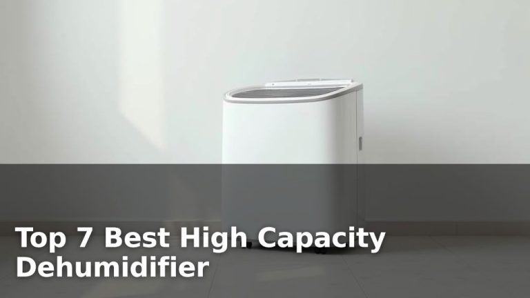 Top 7 Best High Capacity Dehumidifier
