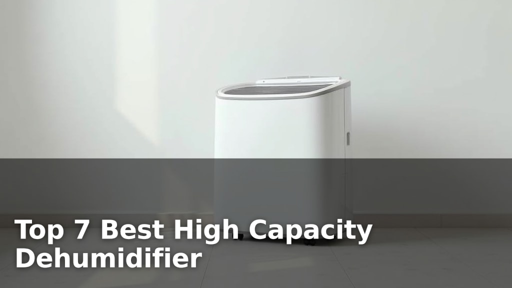 Top 7 Best High Capacity Dehumidifier