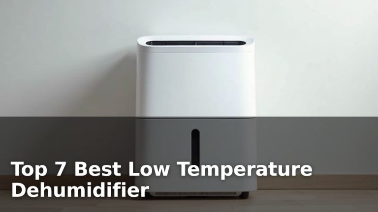 Top 7 Best Low Temperature Dehumidifier