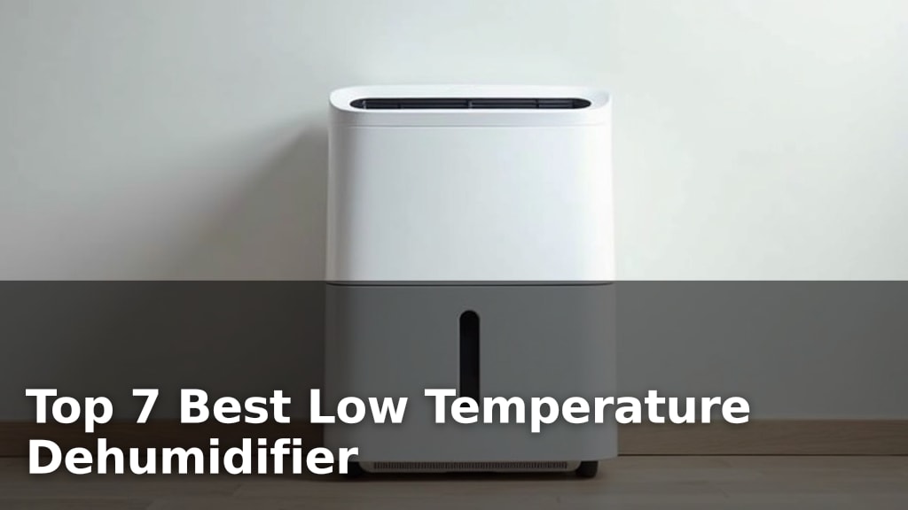 Top 7 Best Low Temperature Dehumidifier