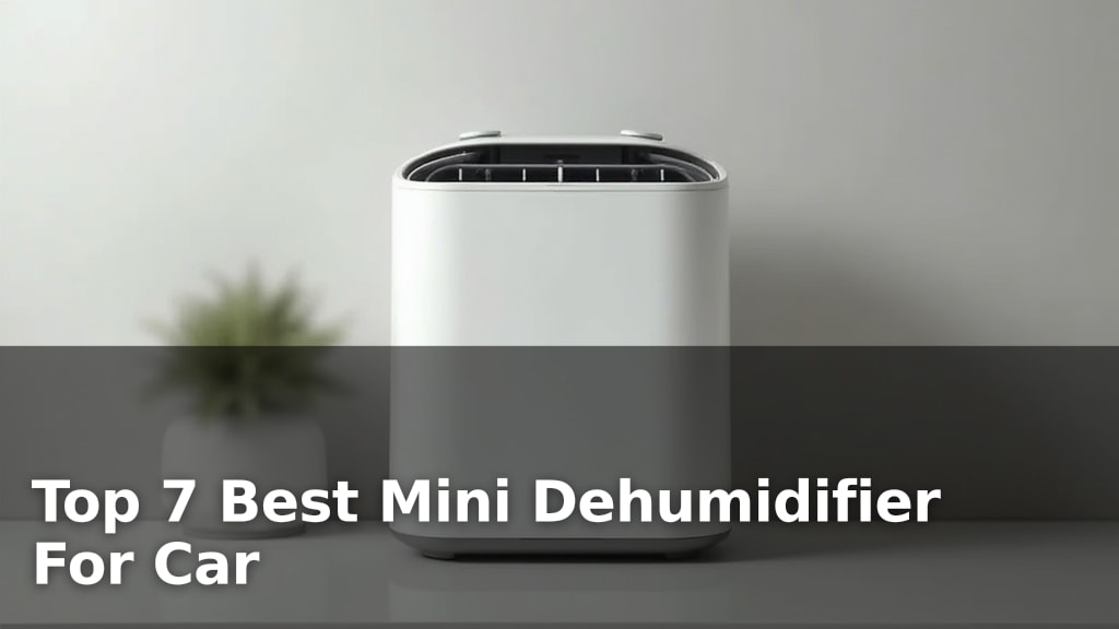 Best Mini Dehumidifier For Car