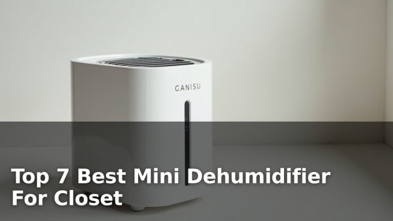 Top 7 Best Mini Dehumidifier For Closet