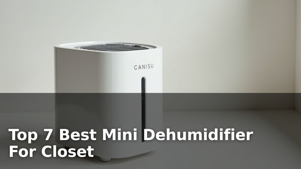 Top 7 Best Mini Dehumidifier For Closet
