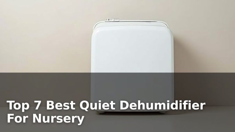 Top 7 Best Quiet Dehumidifier For Nursery