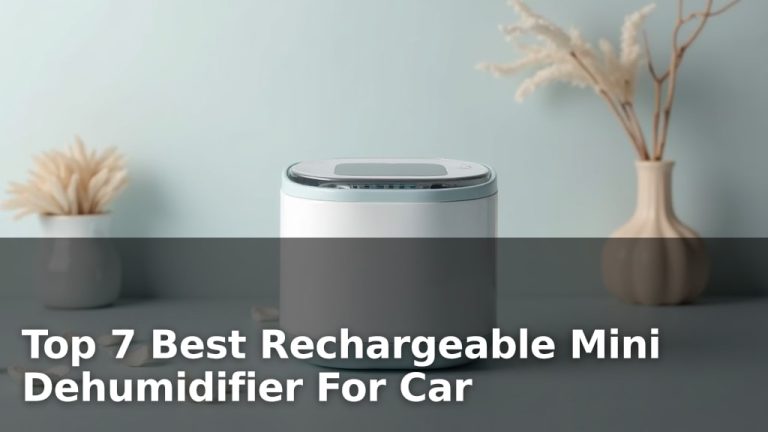 Top 7 Best Rechargeable Mini Dehumidifier For Car