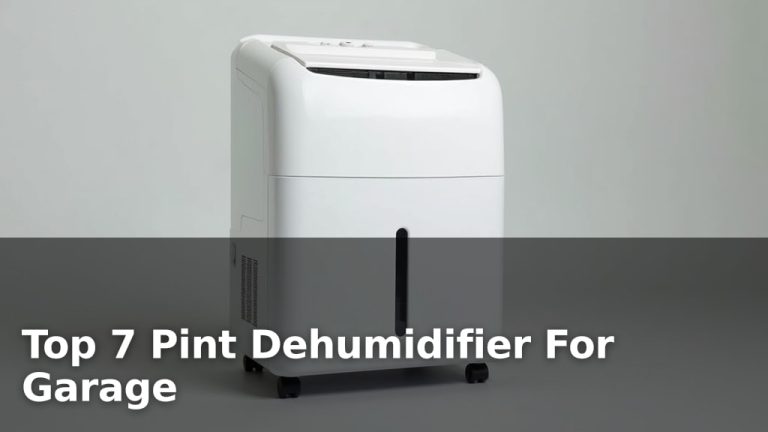 Top 7 Pint Dehumidifier For Garage