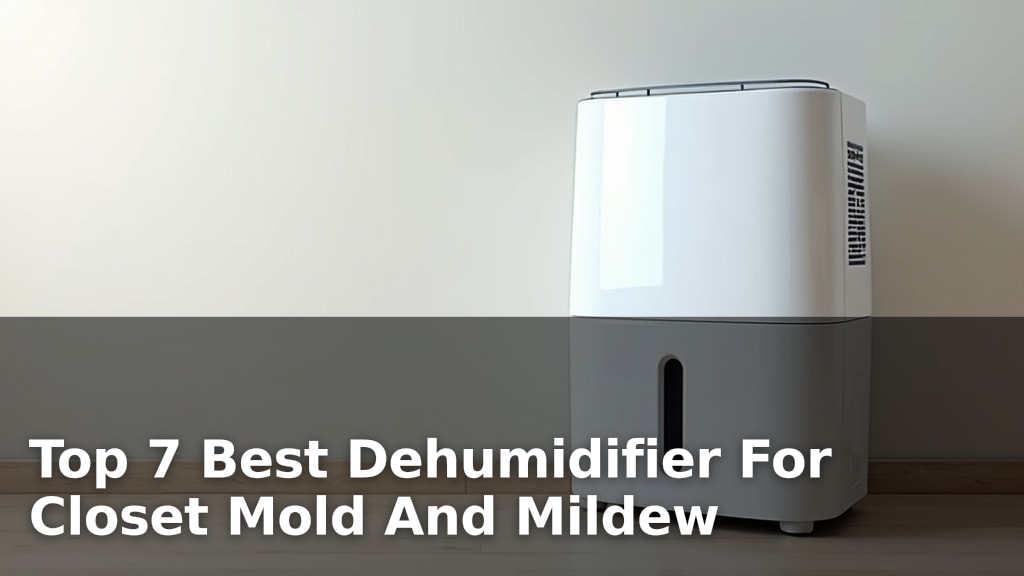 Top 7 Best Dehumidifier For Closet Mold And Mildew