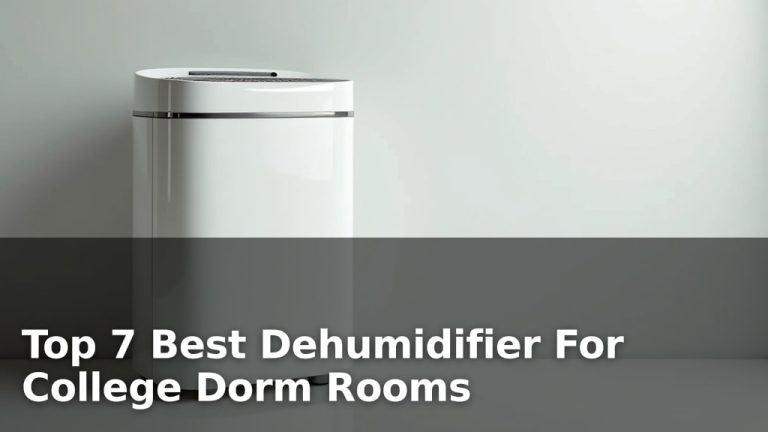 Top 7 Best Dehumidifier For College Dorm Rooms