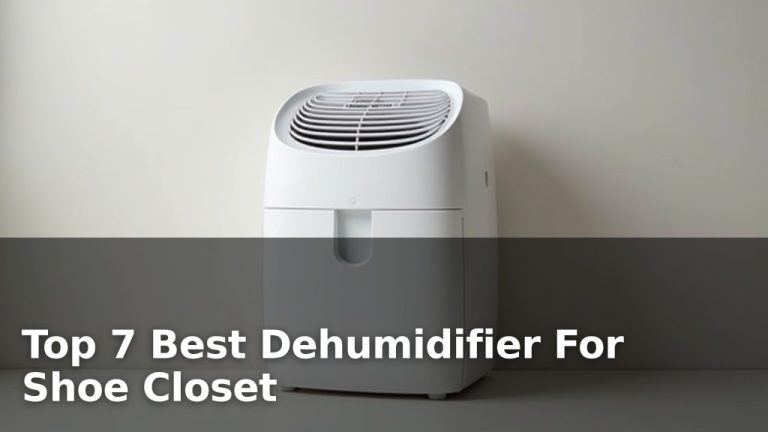 Top 7 Best Dehumidifier For Shoe Closet