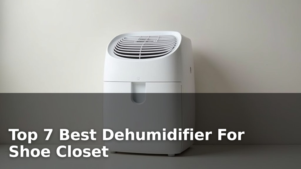 Top 7 Best Dehumidifier For Shoe Closet
