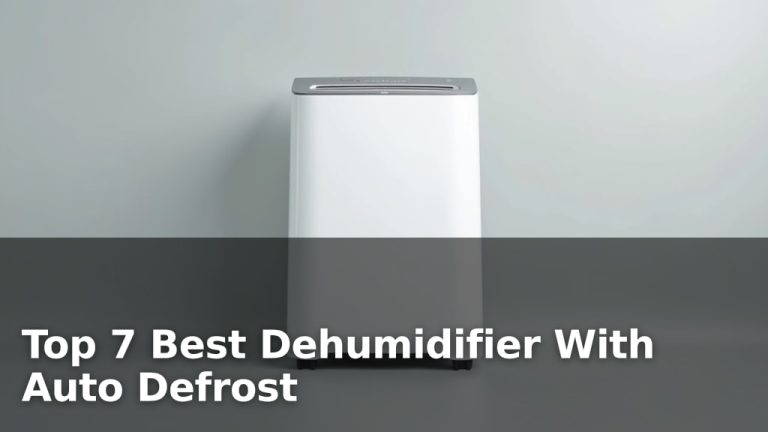 Top 7 Best Dehumidifier With Auto Defrost