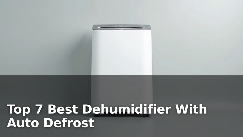 Top 7 Best Dehumidifier With Auto Defrost