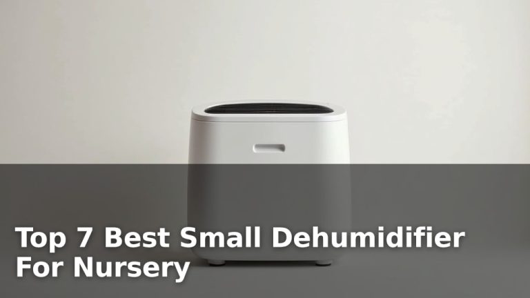 Top 7 Best Small Dehumidifier For Nursery
