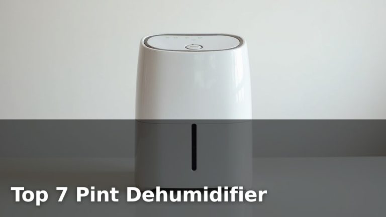 Top 7 Pint Dehumidifier
